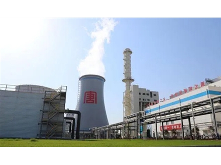 河北華英發(fā)電廠